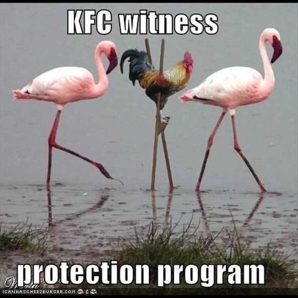 Meet your Posher, Sabrina - Picture 1 of 1